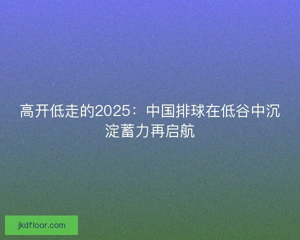 高开低走的2025：中国排球在低谷中沉淀蓄力再启航