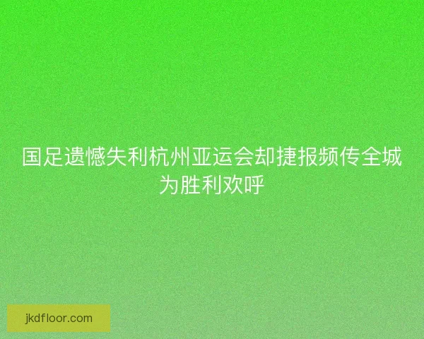 国足遗憾失利杭州亚运会却捷报频传全城为胜利欢呼